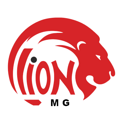 Lion Motors Group — платформа продажи автомобилей